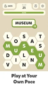 Word Master安卓版123云盘下载