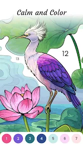 Pixie Color安卓版123云盘下载