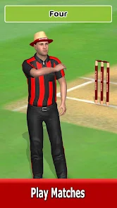 Cricket World Domination 2025安卓版123云盘下载