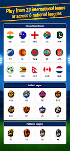 Cricket Manager Journey安卓版123云盘下载